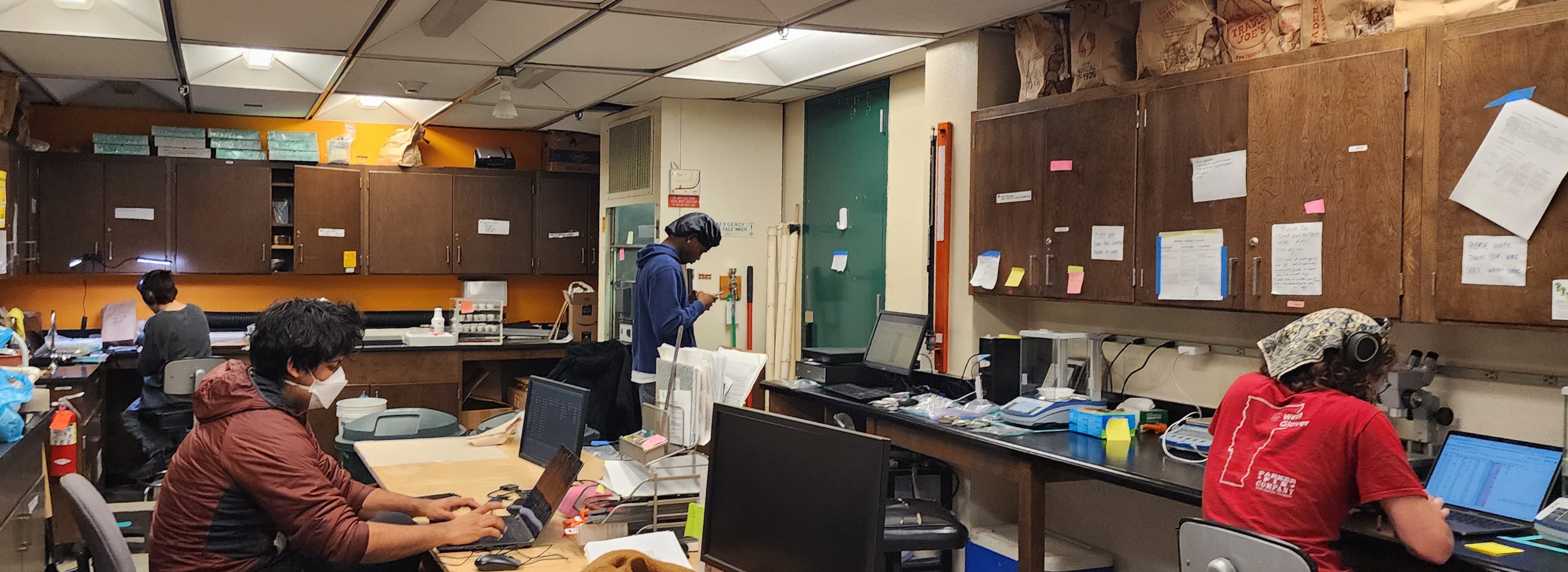 Students working in the Lab