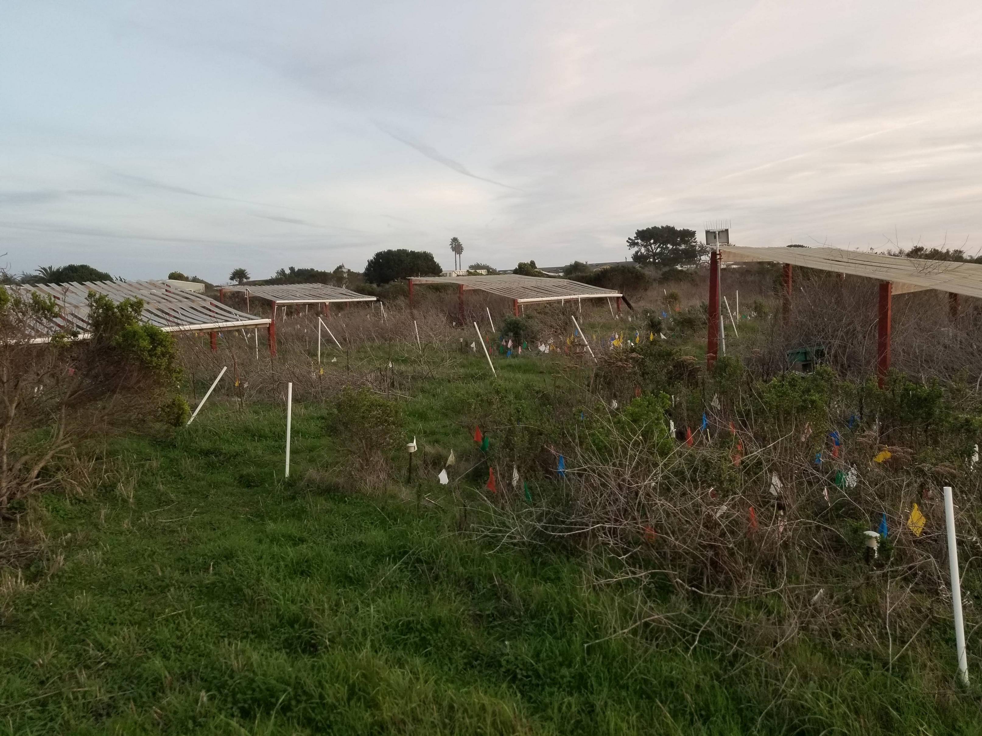 Drought Structures for Graduate Projects